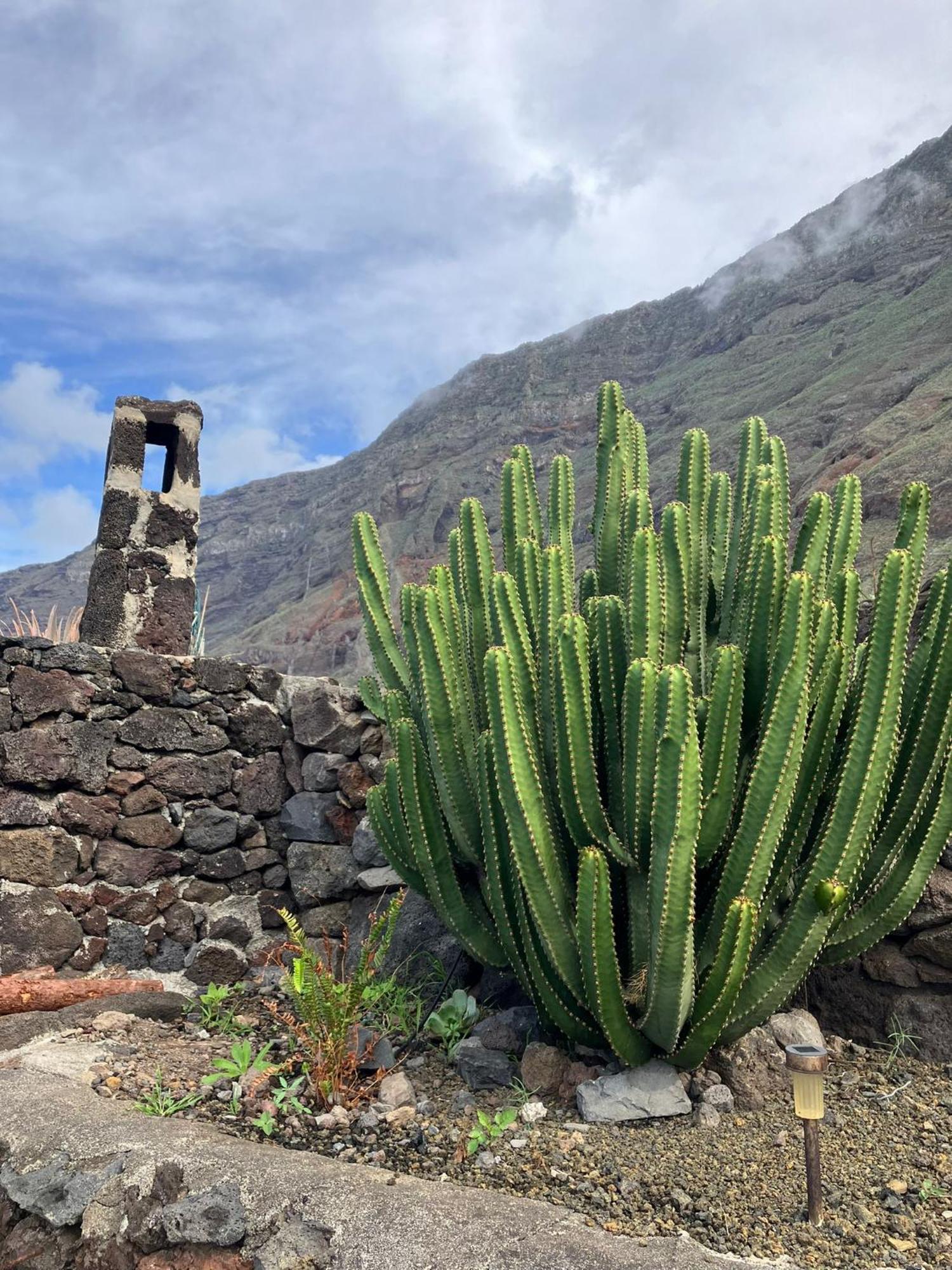 פרונטרה Casa Nela. Rural Y Acogedora En Las Puntas El Hierro מראה חיצוני תמונה