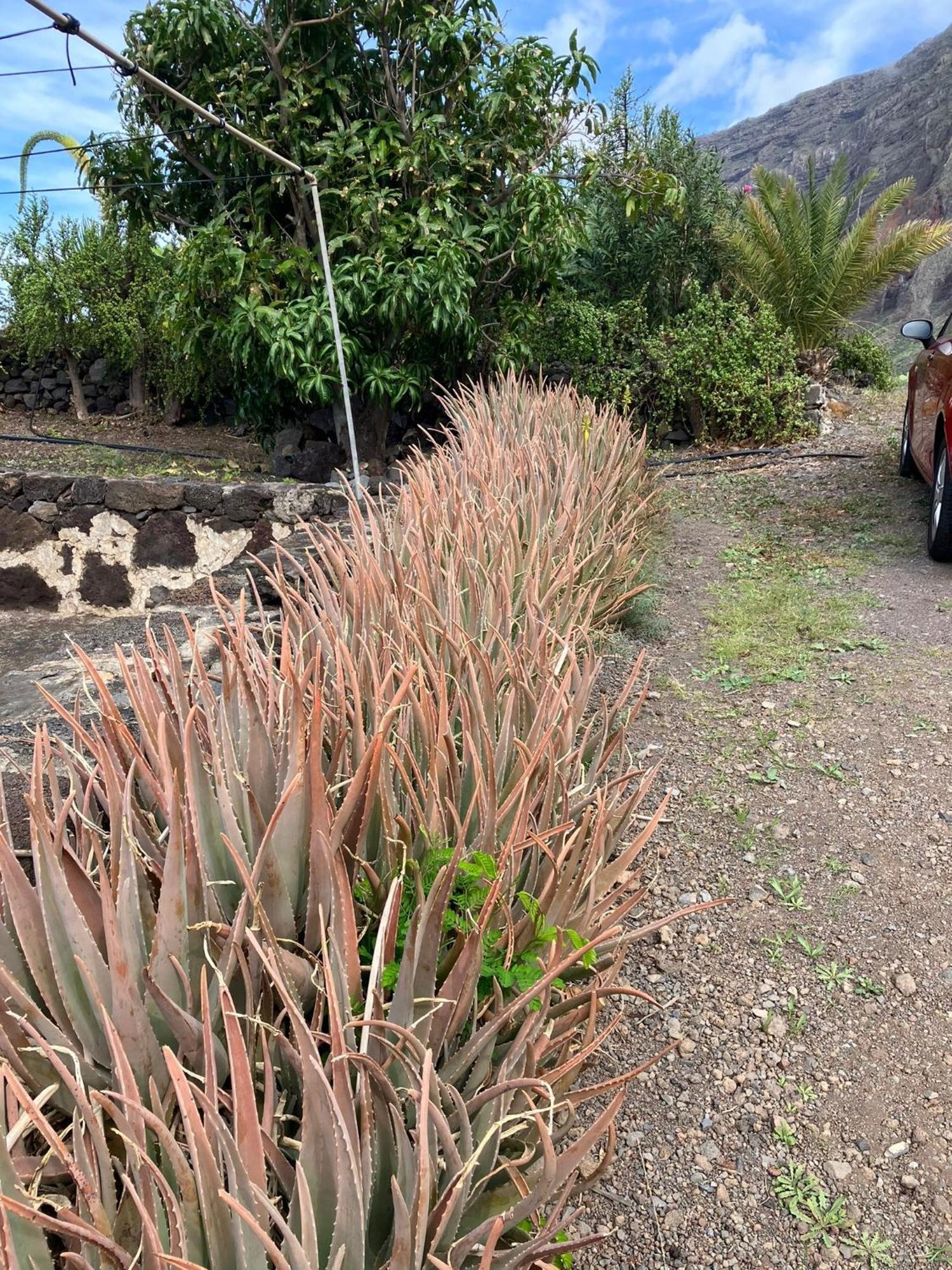 פרונטרה Casa Nela. Rural Y Acogedora En Las Puntas El Hierro מראה חיצוני תמונה