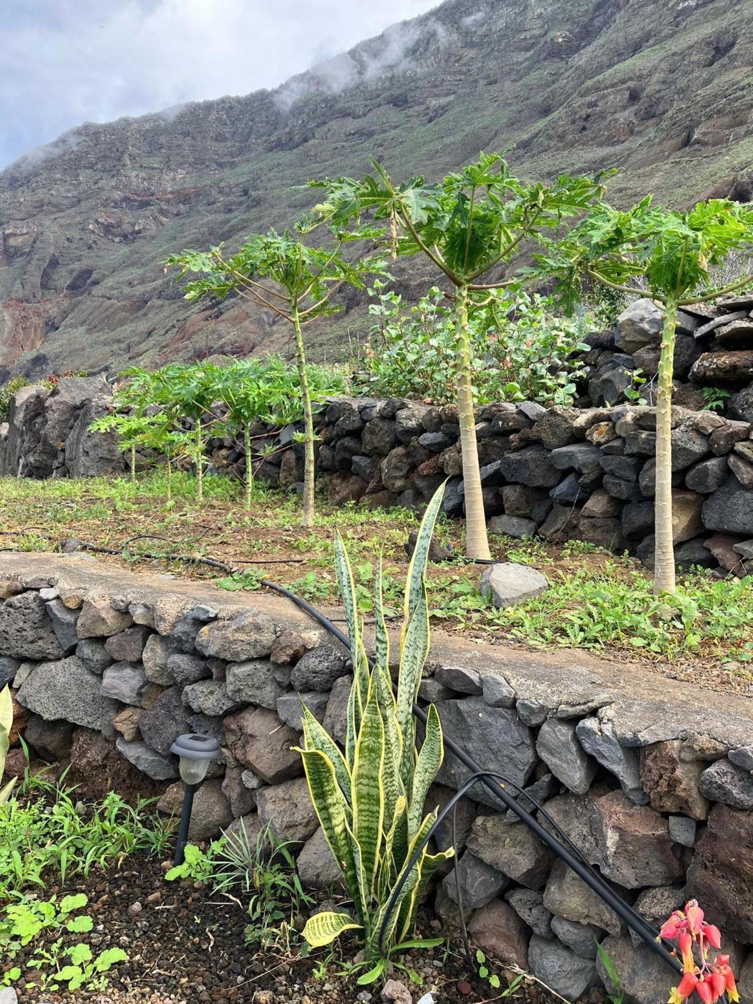 פרונטרה Casa Nela. Rural Y Acogedora En Las Puntas El Hierro מראה חיצוני תמונה